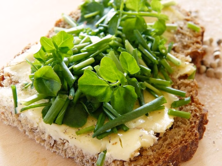 33 of the Healthiest Green Leafy Vegetables Ranked