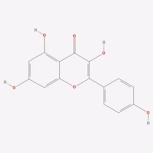 63 Kaempferol Rich Foods (Ranked)