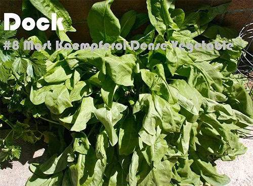 63 Kaempferol Rich Foods (Ranked)