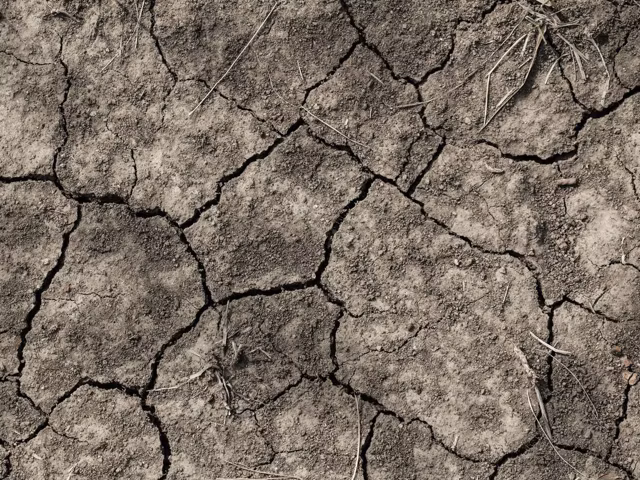 Diseases Caused by Dehydration