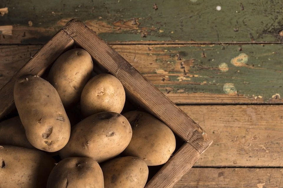 Healthiest Potatoes: 4 Varieties Ranked by Nutrient Density