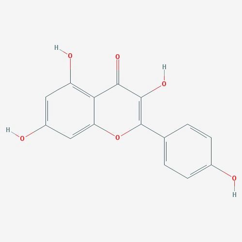 63 Kaempferol Rich Foods (Ranked)
