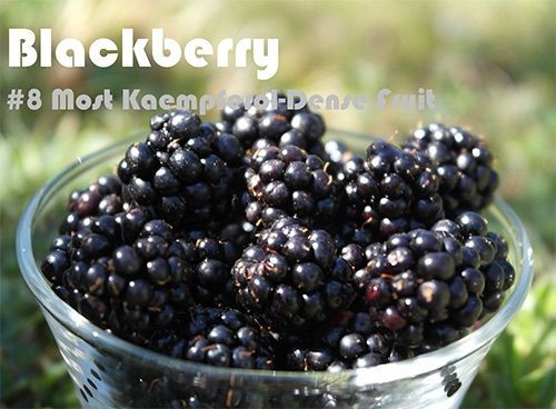 63 Kaempferol Rich Foods (Ranked)