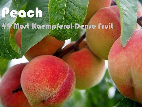 63 Kaempferol Rich Foods (Ranked)