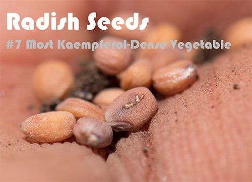 63 Kaempferol Rich Foods (Ranked)