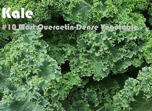 93 Quercetin Rich Foods Ranked by Quercetin Density