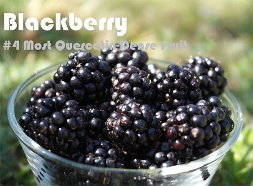 93 Quercetin Rich Foods Ranked by Quercetin Density