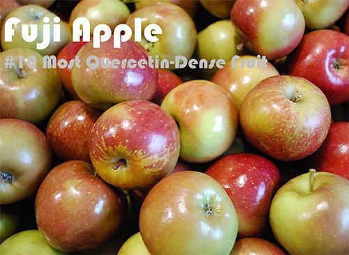 93 Quercetin Rich Foods Ranked by Quercetin Density