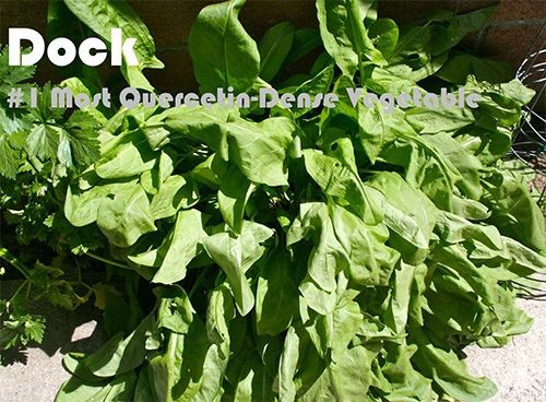 93 Quercetin Rich Foods Ranked by Quercetin Density