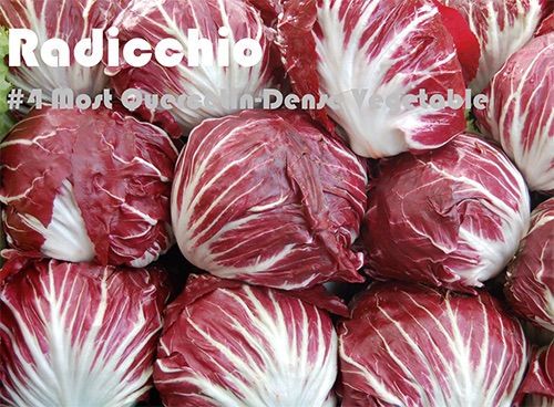 93 Quercetin Rich Foods Ranked by Quercetin Density