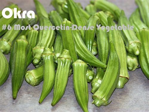 93 Quercetin Rich Foods Ranked by Quercetin Density