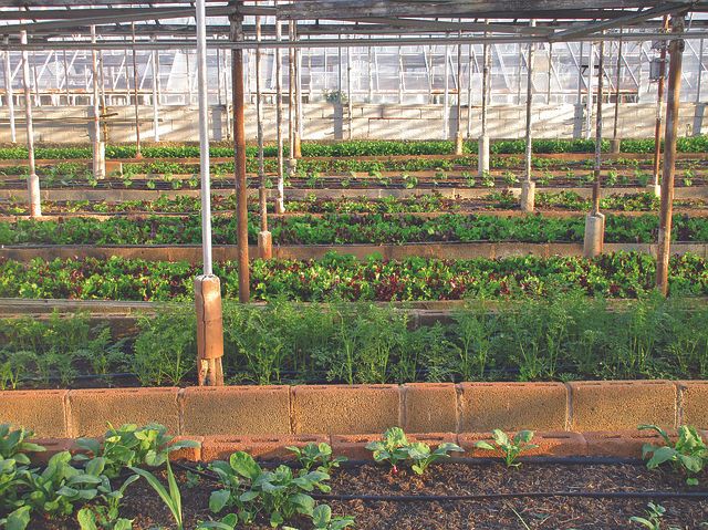 A Sustainable Diet: Personal, Population, & Planetary Health