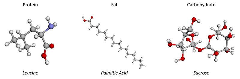 Calories in Food: Your Guide to Understanding Calories