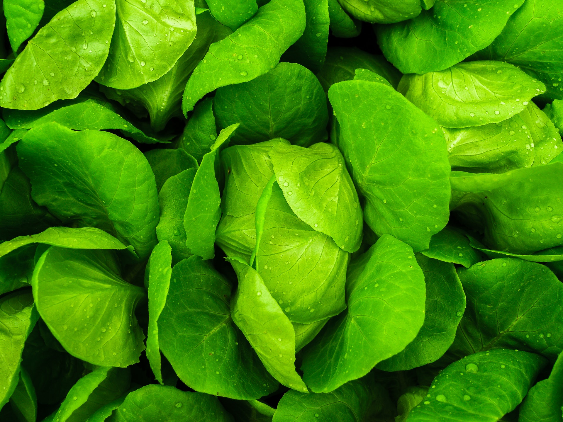 Foods High In Potassium (the Ultimate Ranking of Potassium Density)