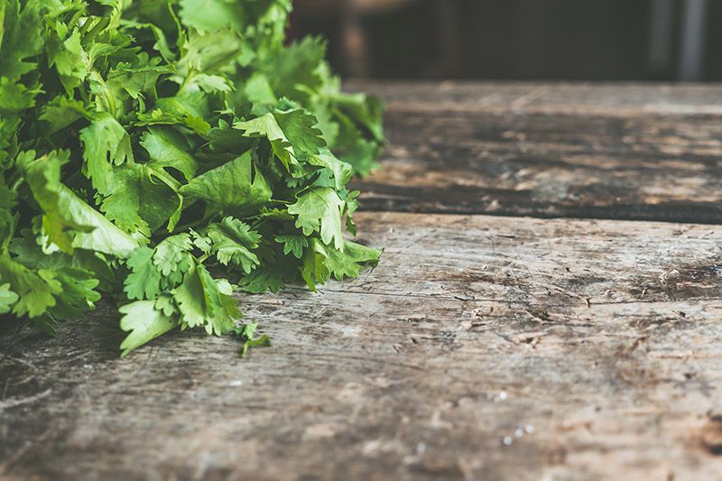 Healthiest Herb: The Math that Proves Which Herb is Healthiest