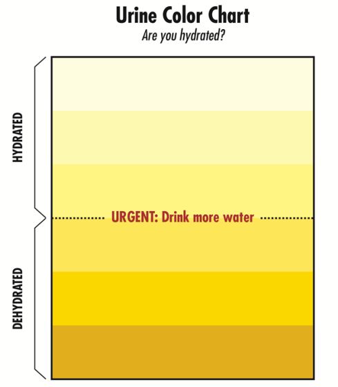 Hydration Testing Method Comparison: Urine Color Vs. Saliva