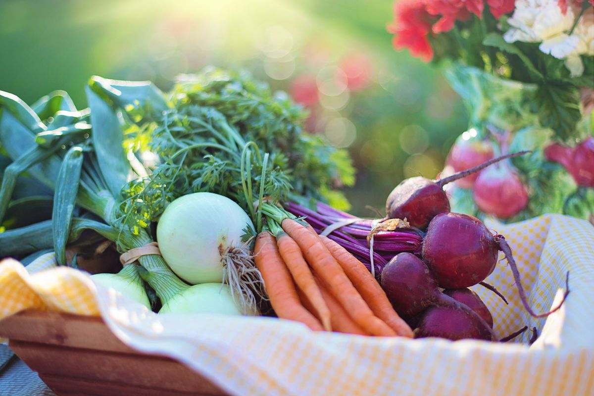Lower Blood Pressure Naturally (without Drugs)