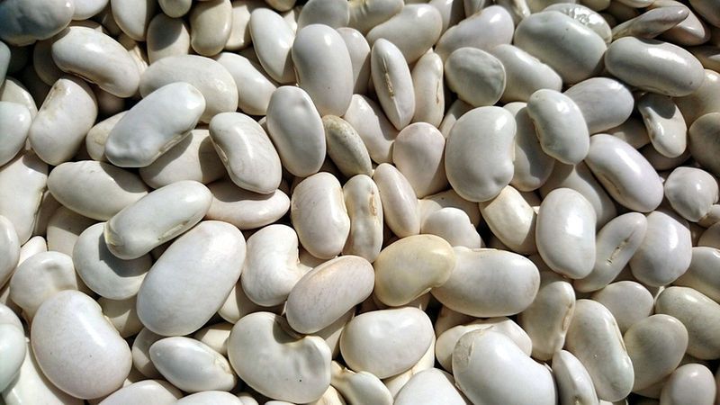 Potassium in Beans (24 Beans Ranked by Potassium Density)