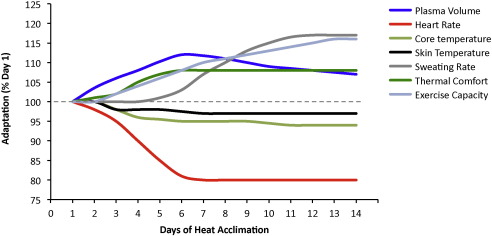 The Most Important Time to Focus on Heat and Hydration